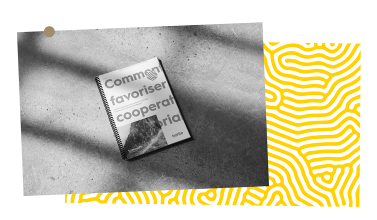 coopération territoriale